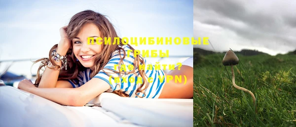 хмурый Абинск