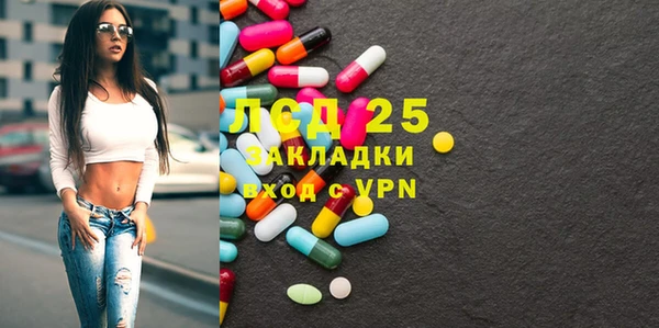 сатива Заводоуковск